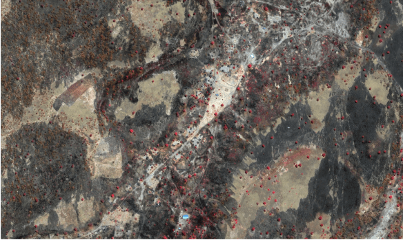 Um Bartumbu March 2012