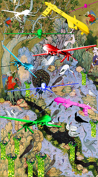 SHAWA Birds of Paradise