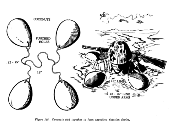 31-30 Coconuts as expedient flotation devices