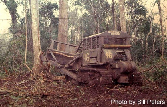 03_Plowinthecutpackmule