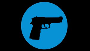 gun_icon