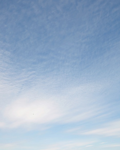 Paglen (Untitled, Predators, Indian Springs)