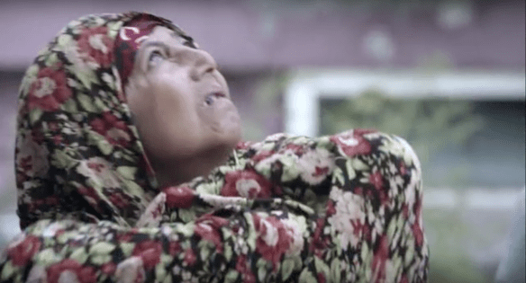 national-bird-still-woman